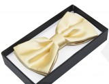      NM Satin Fliege im Geschenkbox - Hellgolden