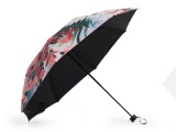                        Regenschirm für Damen faltbar