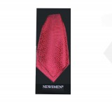 Cravat Ascot Krawatten für Männer - Rot gemustert Spezialität