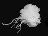                  Chiffonblume mit Federn - 8-9 cm Brosche, Reversnadel