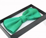      NM Satin Fliege im Geschenkbox - Grün