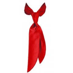 Satin Damenkrawatte - Rot Damen Krawatte, Fliege