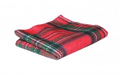 Kinder Einstecktuch aus Baumwolle - Royal Stewart tartan 